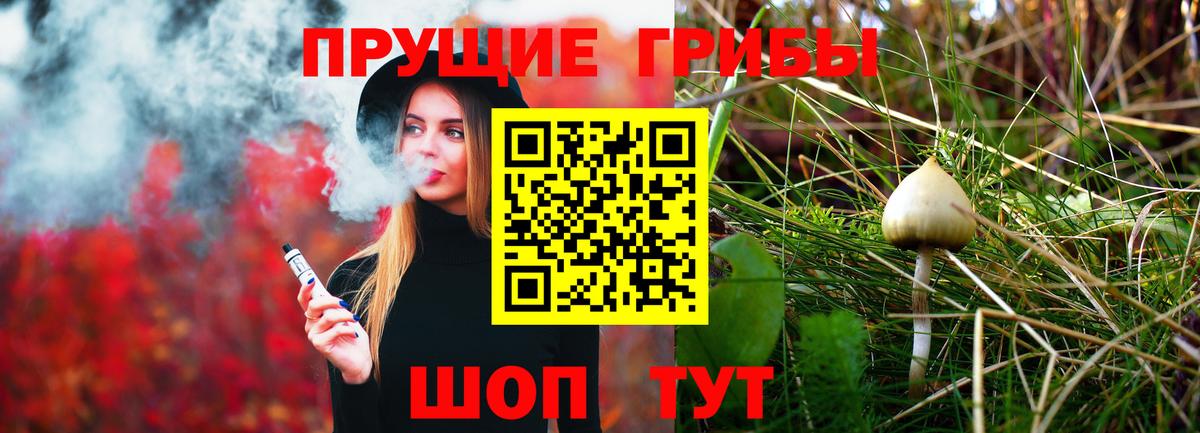 Орёл  Псилоцибиновые грибы Magic Shrooms  Псилоцибиновые грибы GOLDEN TEACHER  Вход с VPN 